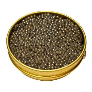 Royal Beluga Caviar